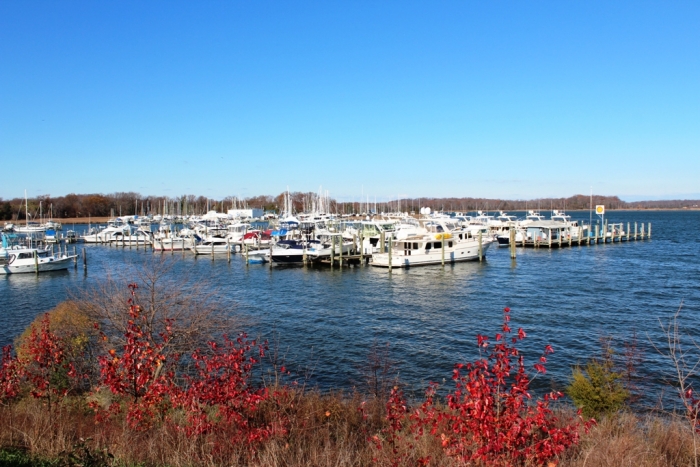 anchor yacht basin